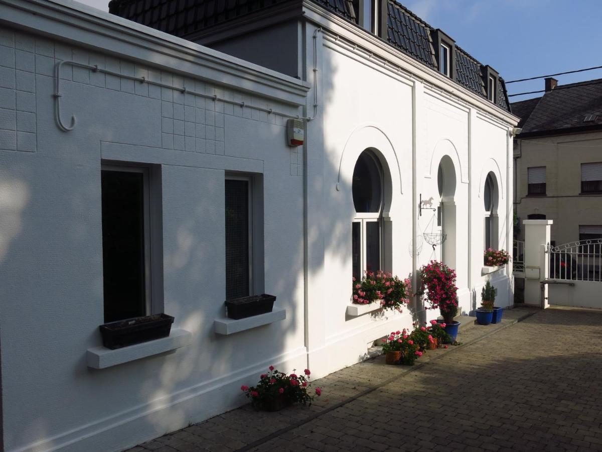 Gite De La Conciergerie Du Cheval Blanc Luttre Exteriör bild